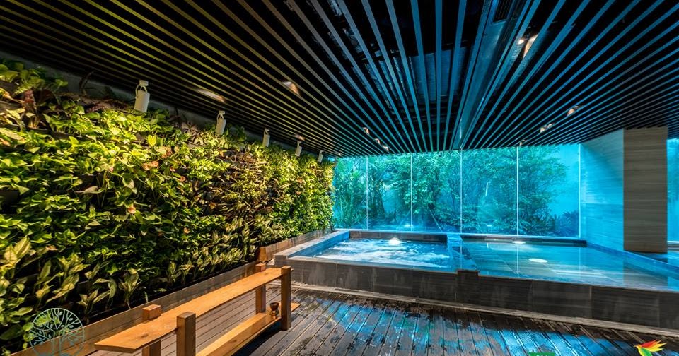 Indoor swimming pool with modern design and walls green plants create a relaxing space naturally.