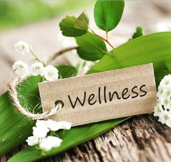 Plates, notes Wellness on background green and white flowers, symbol for health and freshness.