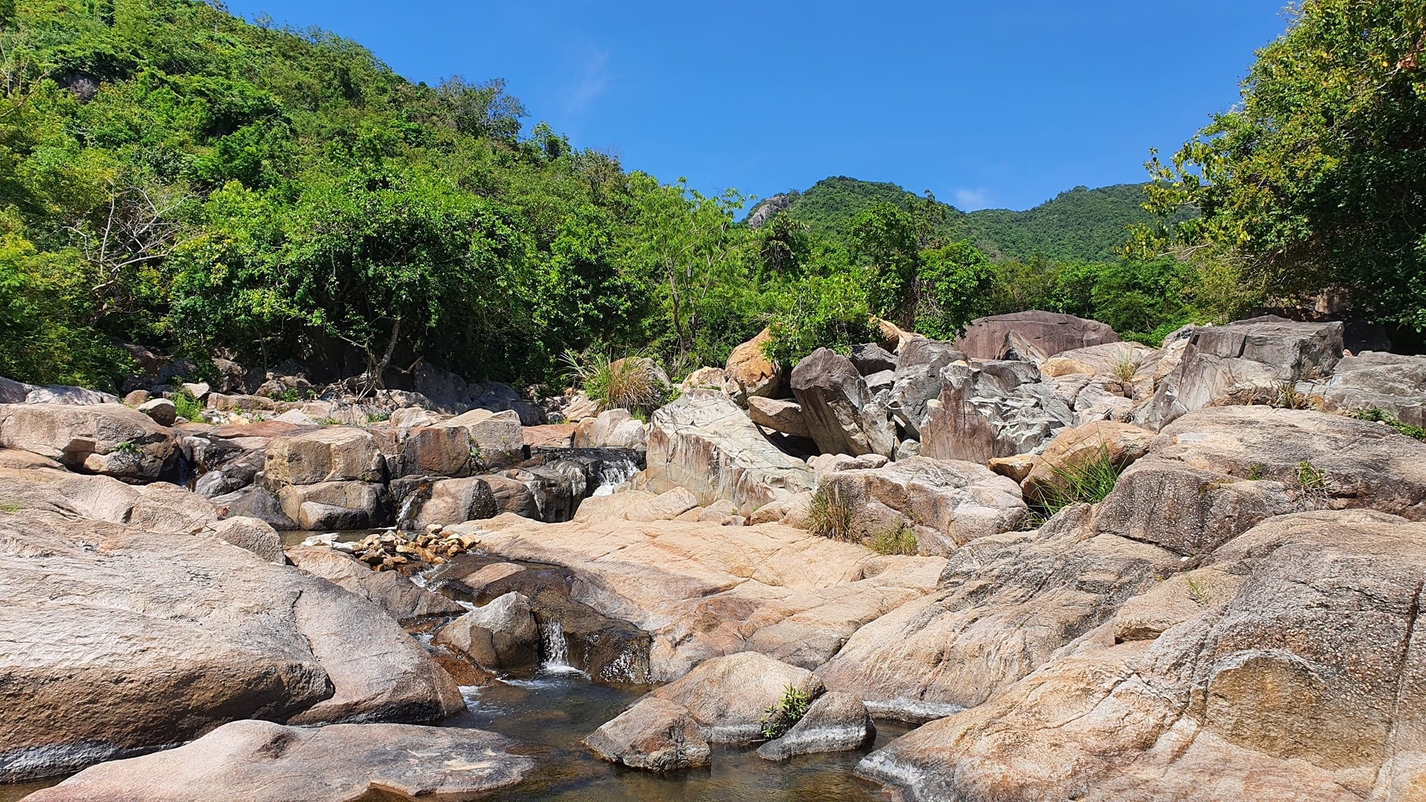 Dòng suối nhỏ chảy giữa những tảng đá lớn trong rừng nhiệt đới xanh mướt dưới bầu trời quang đãng.