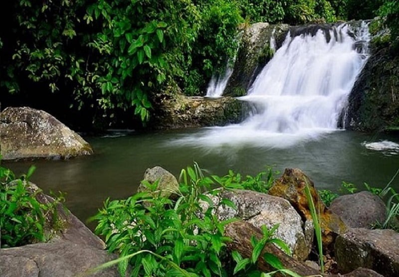 Thác nước xanh um tùm trong rừng nhiệt đới, dòng nước chảy nhẹ nhàng qua đá, tạo cảm giác thư giãn và thanh bình.