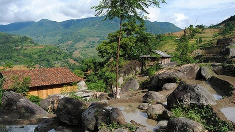 Phong cảnh núi rừng Việt Nam với ruộng bậc thang và nhà sàn, tạo nên vẻ đẹp thiên nhiên thu hút.